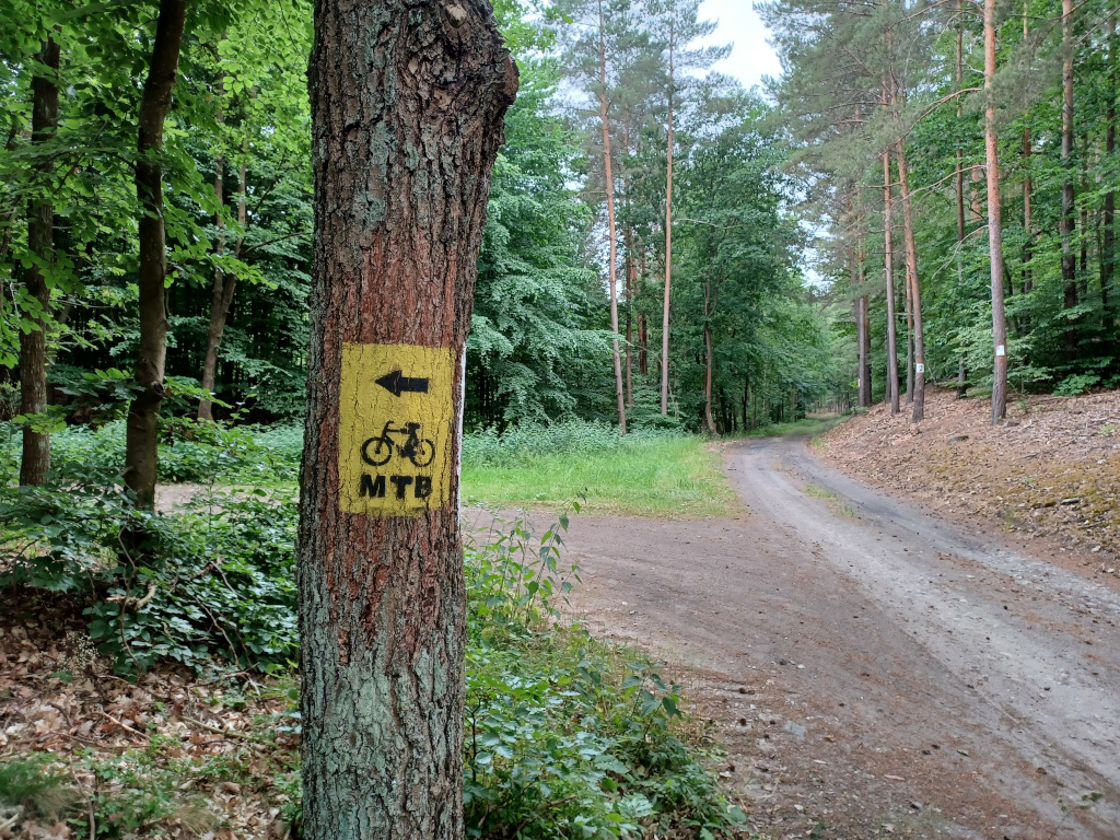 fot. Piktogram szlaku rowerowego MTB.