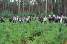 Spotkanie  terenowe odnowienia naturalne sosny w Nadleśnictwie Skwierzyna