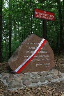 Odsłonięcie pamiątkowego kamienia poświęconego pamięci Antoniego Kozłowskiego